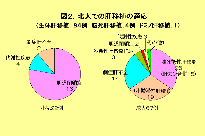 急性肝障害はどのような人が急性肝不全に進展しやすいのか