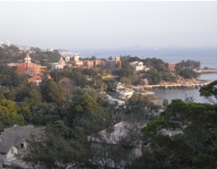 RIMG0606.jpg